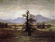 Caspar David Friedrich The Lone Tree oil painting